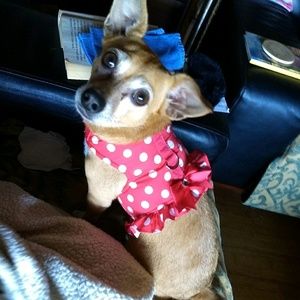 Meet your Posher, Beth